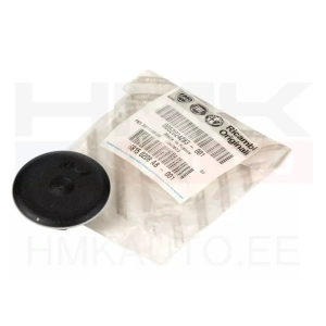 41049-fiat-52024283.jpg.webp