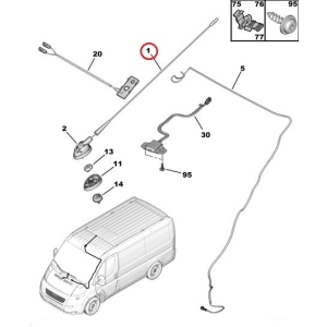 Antenni vars Peugeot/Citroen
