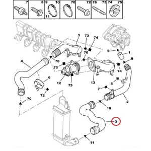 Ahdinletku OEM Citroen C5, Peugeot 406 2,0HDI