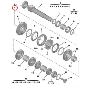 1-2 gear shaft bearing Citroen/Peugeot