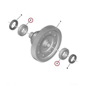 Gearbox bearing (differential) OEM Citroen/Peugeot BVM6