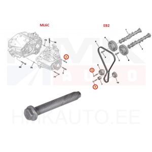 Pultti M8x1,25-55 OEM Peugeot/Citroen