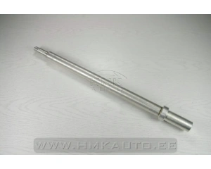 Болт крепления нижнего рычага Renault Master 98-10