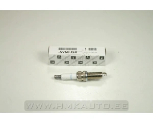 Свеча зажигания OEM Citroen/Peugeot