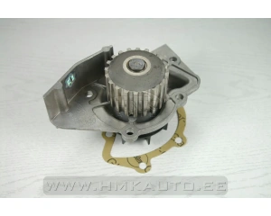 Водяная помпа Citroen/Peugeot/Fiat 1,9D XUD9