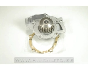 Водяная помпа Citroen/Peugeot/Fiat 2,0HDI/2,2HDI