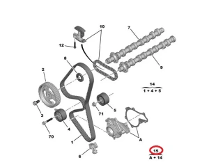 Timing belt kit + water pump OEM Peugeot/Citroen 1,6HDI DV6TED4