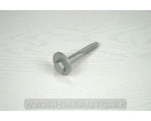 Tagasilla reguleervarda ekstsentrikpolt OEM Peugeot 406