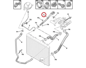 Coolant hose  OEM PSA