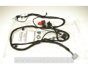 Blower motor wiring Jumper/Boxer/Ducato 2006- (with automatic AC)