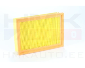 Air filter Ford Escort