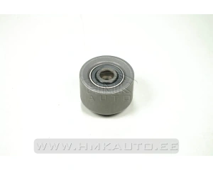 Guide pulley Peugeot/Citroen 1.6 TU5JP4 00-