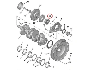 Poulie, vilebrequin (courroie de distribution) OEM Peugeot/Citroen 1.9D/2.0HDI