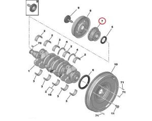 Poulie, vilebrequin (courroie de distribution) OEM Citroen/Peugeot 1,4-1,6HDI