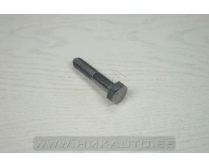 Sarniiri kinnituspolt M10x1,5-L50 OEM Citroen/Peugeot