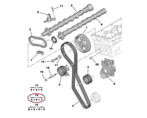 'Nukkvõlli keti komplekt OEM Citroen C5