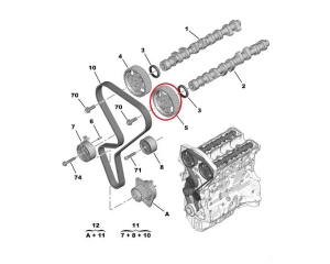 Poulie d'arbre à cames OEM Citroen/Peugeot TU5JP4