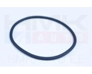 Прокладка термостата Fiat Ducato