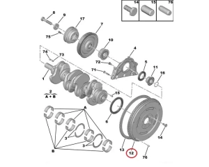 Hooratas OEM Citroen/Peugeot 2,0HDI