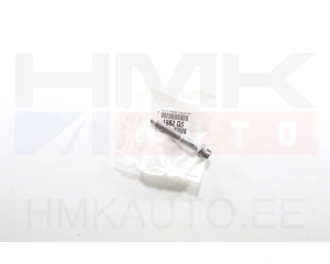 Suuttimen kiinnityspultti OEM Citroen/Peugeot 1,6HDI