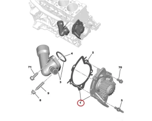 Vesipumppu OEM Citroen/Peugeot/Fiat 2,0HDi