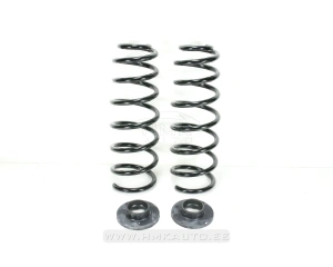 Установочный комплект пружин Citroen Jumpy/Peugeot Expert 2007-