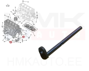 Väntvõlli laagripaku tihend OEM Citroen/Peugeot