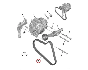 Moniurahihna 6PK905 OEM Citroen/Peugeot