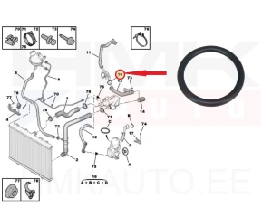 O-rõngastihend jahutusvedeliku torule OEM Citroen/Peugeot 2,0HDi DW10  31x4,55