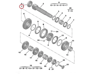 Gearbox bearing OEM Citroen/Peugeot