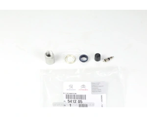 Kit de reparation de capteur de pression des pneus Citroen/Peugeot