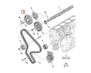 Poulie d'arbre à cames OEM Citroen/Peugeot