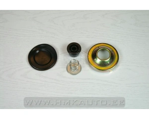Fuel pump membrane kit