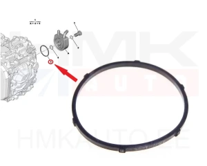 Сальник масляного радиатора АКПП OEM Citroen/Peugeot AL4