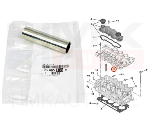Suuttimen holkki OEM Citroen/Peugeot 1,6HDi  DV6