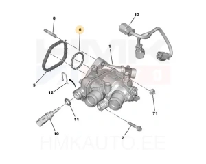 Прокладка термостата OEM Citroen/Peugeot  EP6T