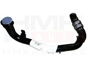 Turbo õhutoru OEM Jumper/Boxer/Ducato 3,0HDi