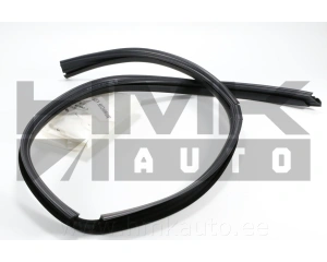Front door glass seal, left OEM Renault Master 2010-