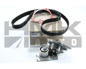 Комплект зубчатого ремня + водяная помпа OEM Renault Laguna II/Trafic II/Master 1.9dCI