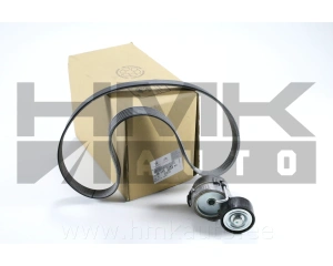 Mitmikkiilrihma komplekt OEM Citroen/Peugeot EB0/EB2/EB2F