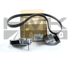 Mitmikkiilrihma komplekt OEM Citroen/Peugeot 1,6HDi 2009-