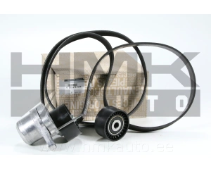 Mitmikkiilrihma komplekt OEM Renault 2,0DCi AC+