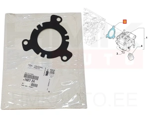 Ruiskutuspumpun tiiviste OEM Citroen/Peugeot/Fiat 2,0HDi DW10 Euro4