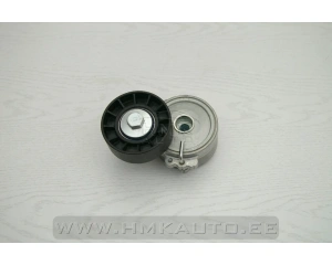 Hihnankiristin, moniurahihna OEM Peugeot/Citroen  2.0HDI/2.2HDI