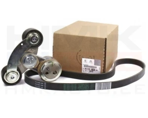 Mitmikkiilrihma komplekt OEM Citroen/Peugeot 2,0HDi