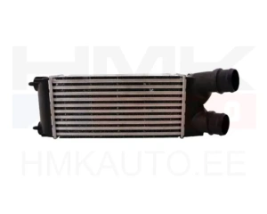 Intercooler Berlingo/Partner 2008-
