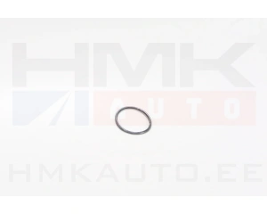 Ruiskutuspumpun tiiviste OEM Opel 1,3