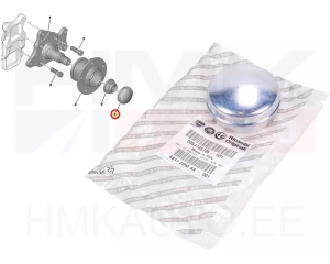 Bouchon moyeu de roue OEM Jumper/Boxer/Ducato 2006-   15" roue