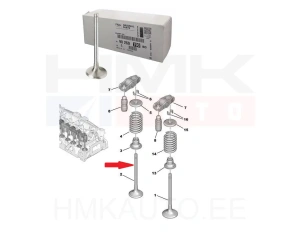 Exhaust valve OEM Citroen/Peugeot DV6FC