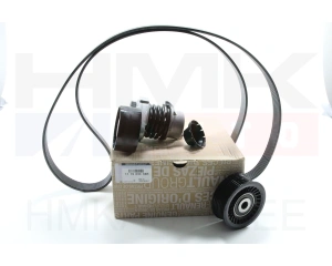 Mitmikkiilrihma komplekt OEM Renault/Dacia 1,2TCE
